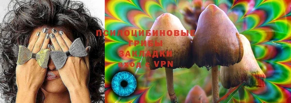 гидра Алексин