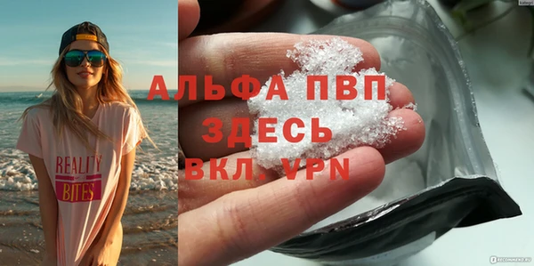 гидра Алексин