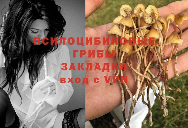 apvp Семикаракорск