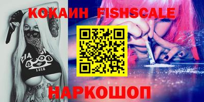 спайс Кингисепп