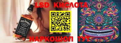 спайс Кингисепп