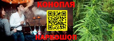 спайс Кингисепп