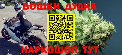 спайс Кингисепп