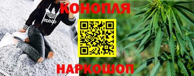 спайс Кингисепп