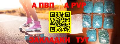 спайс Кингисепп