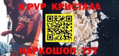 спайс Кингисепп