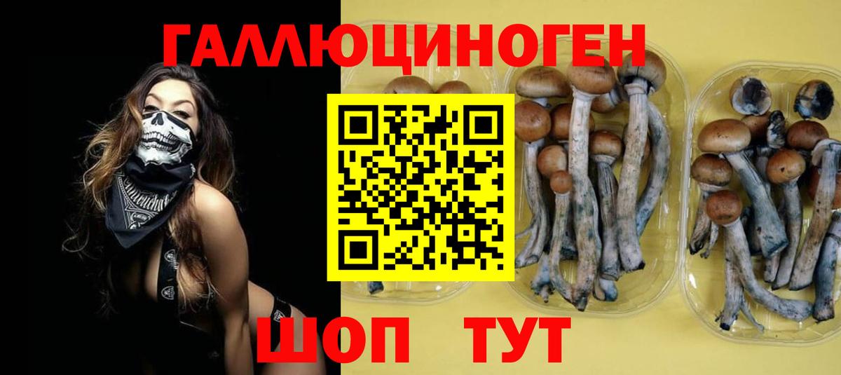 купить наркотики цена  Псилоцибиновые грибы MAGIC MUSHROOMS  Вход с VPN  Куйбышев 